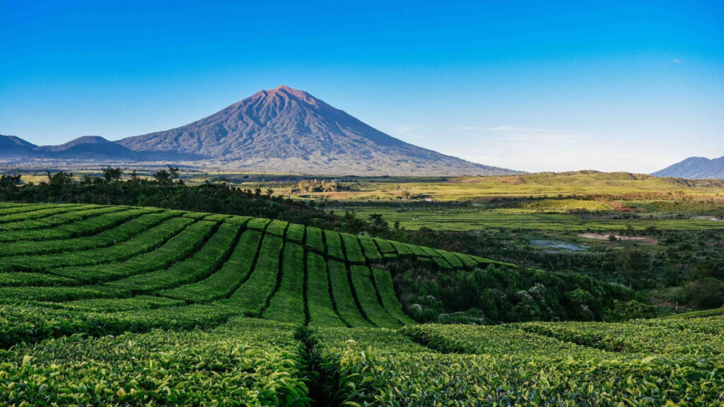 Mount Kerinci: A Tower Above the Clouds