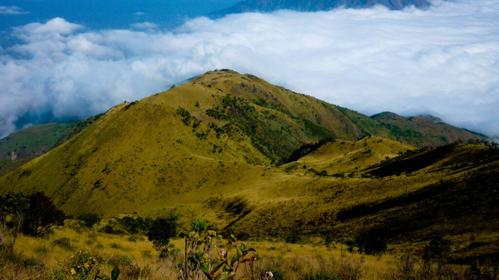Mount Merbabu: A Gentle Giant of Central Java
