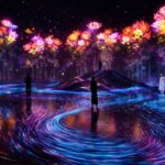 Charm of teamLab Borderless A Fusion of Art and Technology in One Space