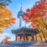 Enjoy the Beauty of Seoul from Above at Namsan Tower