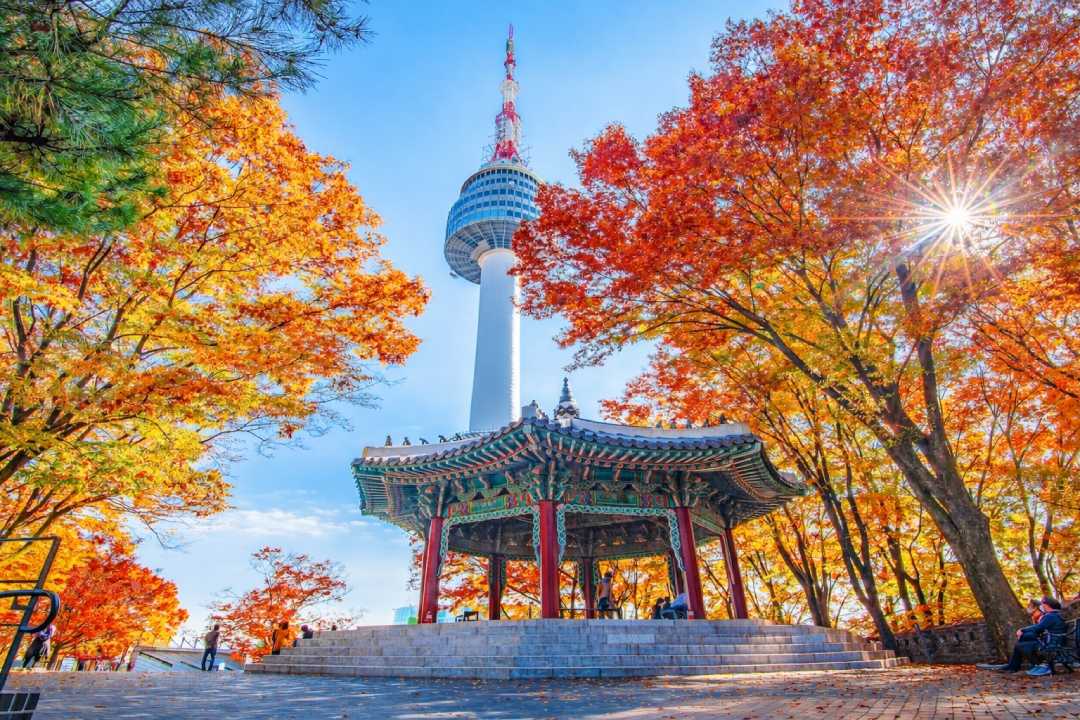 Enjoy the Beauty of Seoul from Above at Namsan Tower