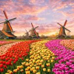 Keukenhof Gardens, the Most Beautiful Tulip Paradise in the Netherlands