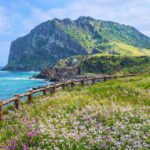 Seven Days on Jeju Island: Your Perfect Itinerary to Explore South Korea's Volcanic Paradise