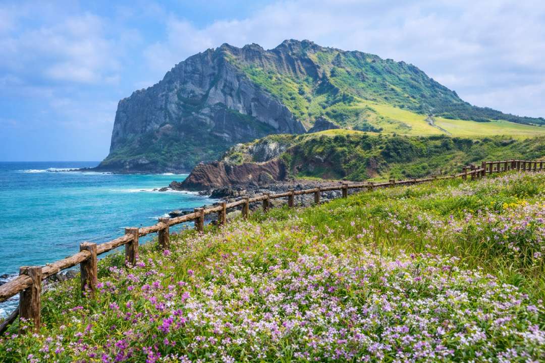 Seven Days on Jeju Island: Your Perfect Itinerary to Explore South Korea's Volcanic Paradise