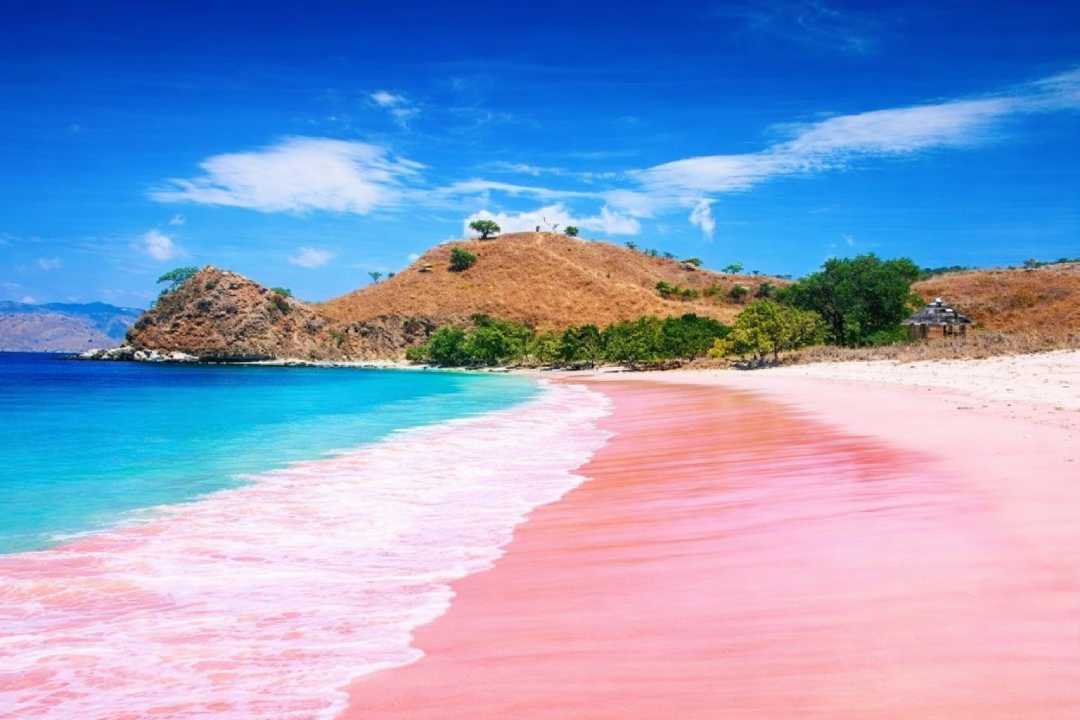 The Hidden Beauty of Pink Beach on Komodo Island, West Nusa Tenggara
