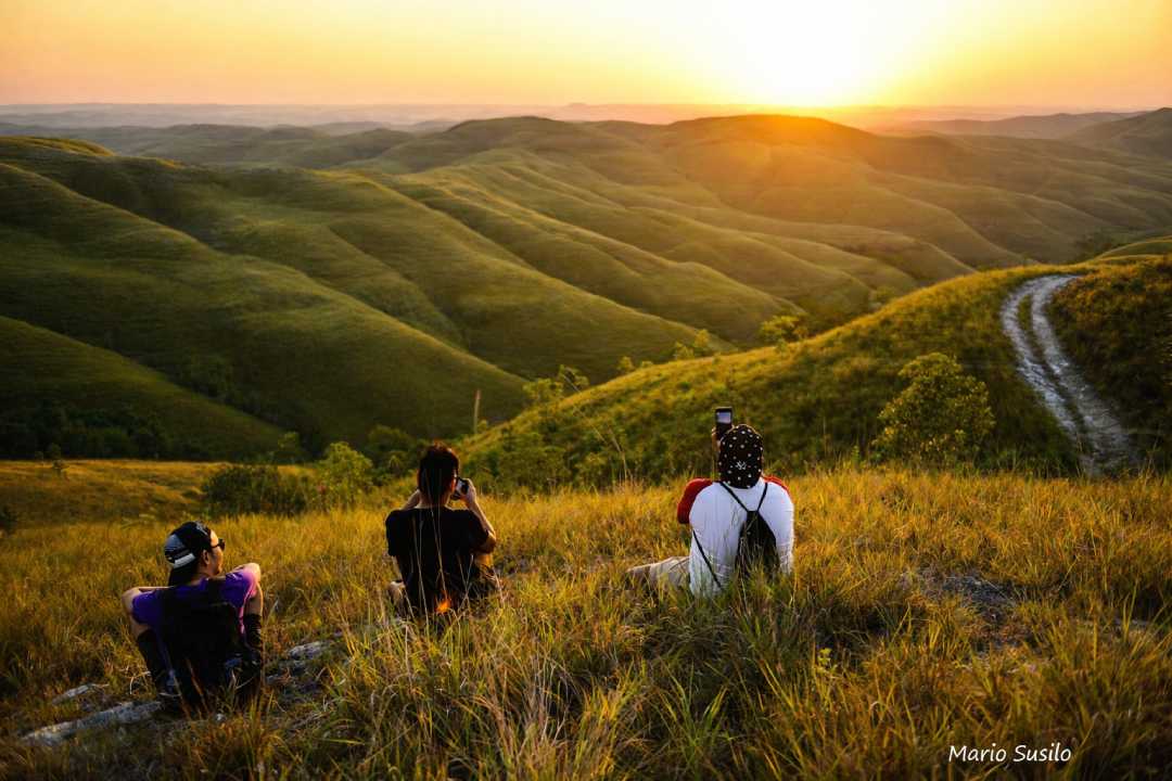 Wairinding Hill NTT: A Beautiful Savannah That Must Be on Your Wishlist