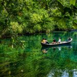 The Beauty of Lake Paisupok, Sulawesi: Super-Clear Water That Amazes Tourists