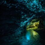 Waitomo Glowworm Caves, New Zealand's Glowing Caves That Look Like a Secret Galaxy