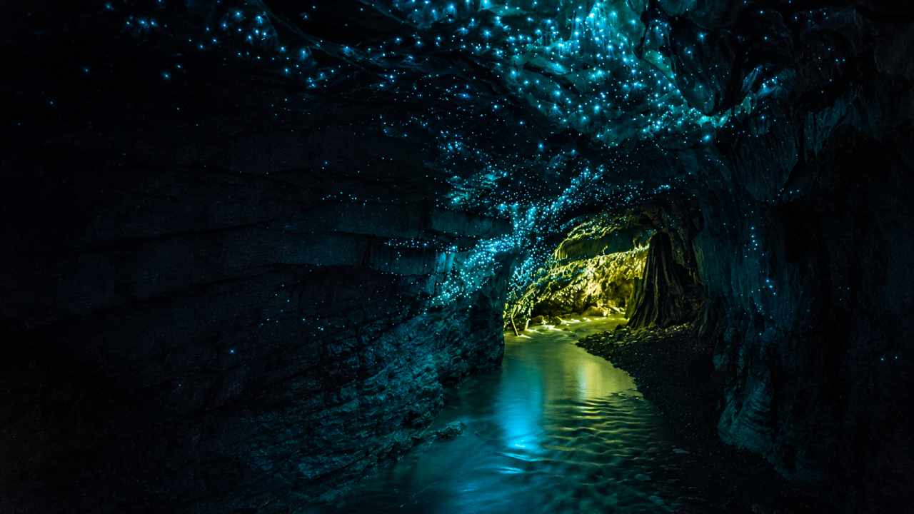 Waitomo Glowworm Caves, New Zealand's Glowing Caves That Look Like a Secret Galaxy