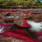 Caño Cristales: The Stunning Rainbow River Hidden in Colombia