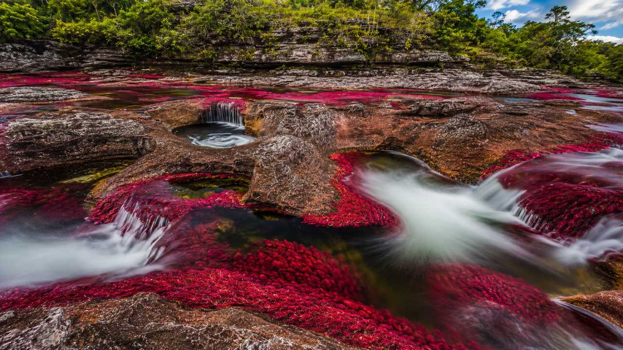 Caño Cristales: The Stunning Rainbow River Hidden in Colombia