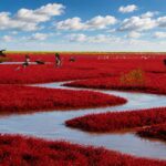 The Stunning Beauty of Panjin Red Beach: China's Natural Red Wonderland