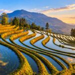 Yuanyang Rice Terraces, China’s Surreal Landscape Above the Clouds