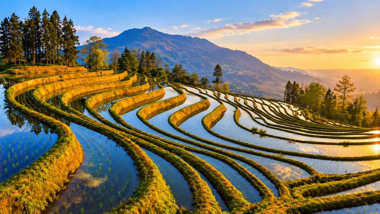 Yuanyang Rice Terraces, China’s Surreal Landscape Above the Clouds